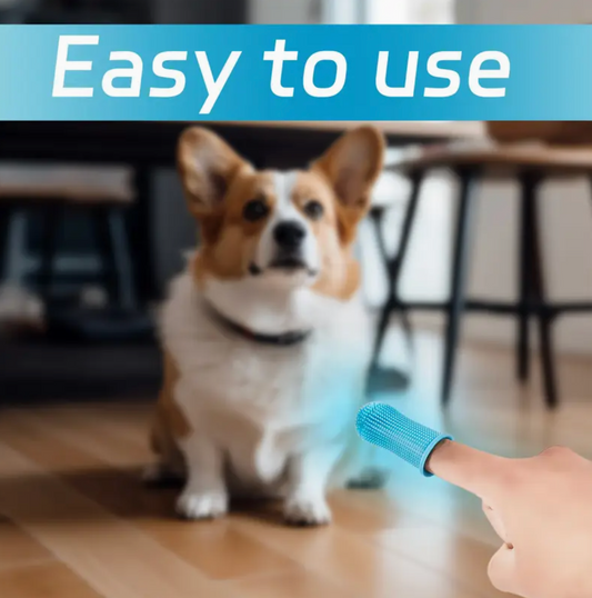 Hyggear Soft Silicone Pet Finger Toothbrush with Case